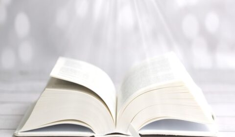Nessa Zen détente Rennes Mes Livres Alaya FJ Tarifs